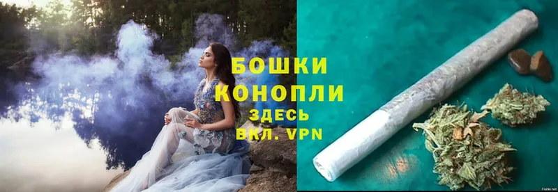 Каннабис OG Kush  Кандалакша 